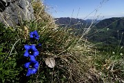 Sul CORNO ZUCCONE, guardiano della Val Taleggio, il 27 aprile 2016 - FOTOGALLERY